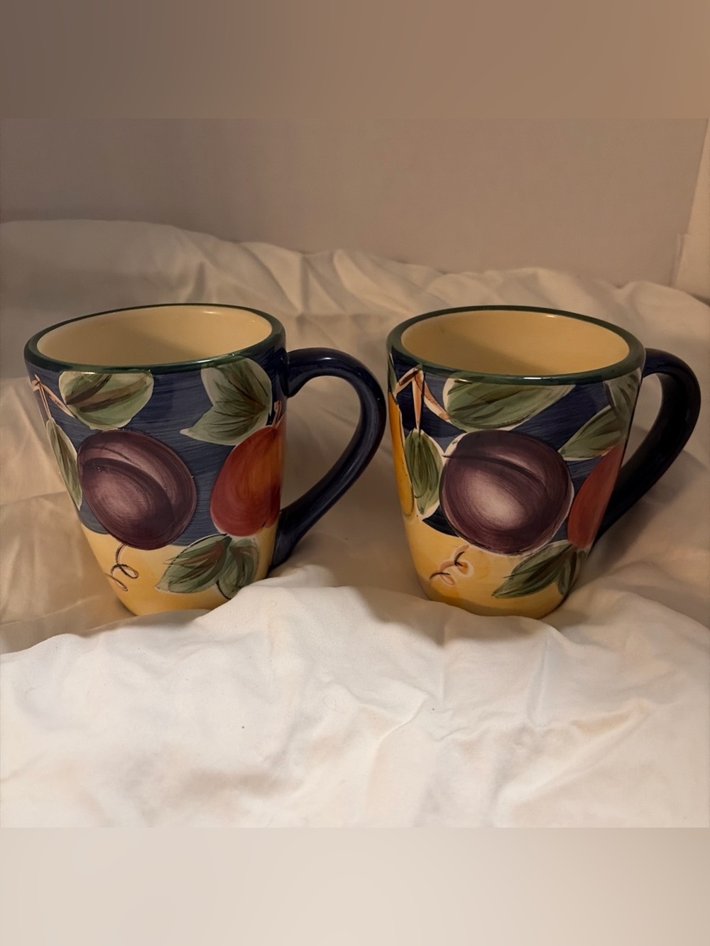 Colormate Hand Painted Stoneware Amelia Mugs Fruit Design - Set of 2